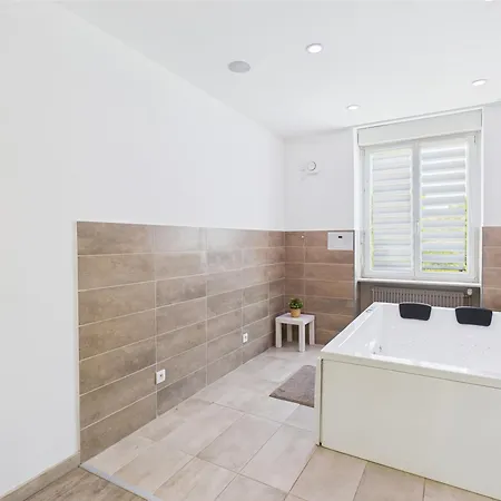 Cocon Zen Balneo - Appartement Rdc Proche Centre Mulhouse Apartment *
